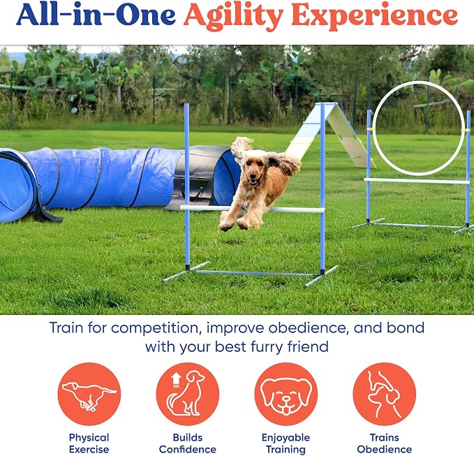 FetchFlow Dog Agility Training Equipment – Complete Backyard Agility Course Set - Image 3