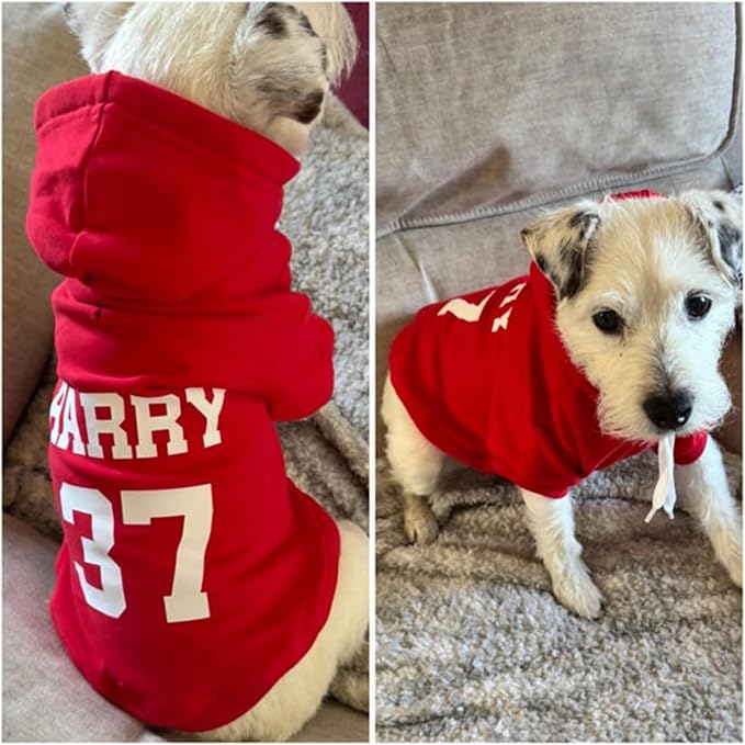 Personalized Name Dog Hoodie, Print Hoodies Pets Name, Custom Pet Memorial - Image 3