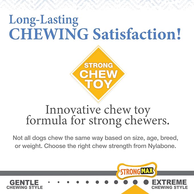 Nylabone Gourmet Style Femur Bone Strong Chew Toy - Image 7