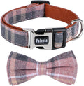 Faleela Cute Soft Girl Dog Collar by Faleela