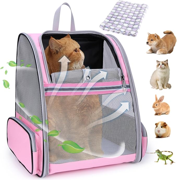 Lollimeow Cat Backpack Carrier, Airline Approved, Safe by Lollimeow