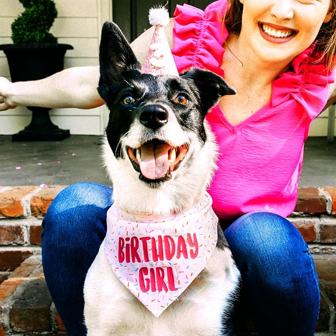 Birthday Girl Dog Bandanas 1 Pack, HBD Pet Scarves - Image 5