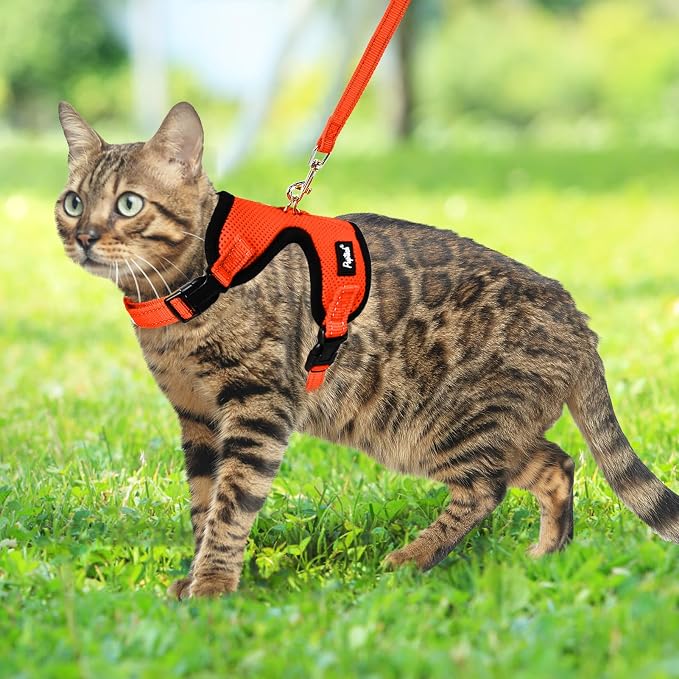 PUPTECK Cat Harness and Leash Set Escape Proof, Reflective Adjustable Soft Mesh - Image 6