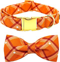 Fall Dog Collar, Pet Collar Bow Orange Plaid Collars Girl Boy Holiday Pet by BoboRainbow