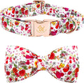 Elegant little tail Dog Collar by Elegantlittletail