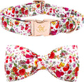 Elegant little tail Dog Collar by Elegantlittletail