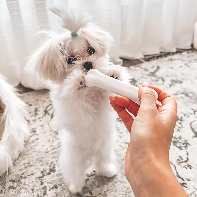 Nylabone New Puppy Starter Kit, Chew Toys & Natural Chew Treat - Image 2