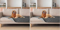 gogobunny 3X Stronger Waterproof Pet Blanket, Scratch Proof Furniture Protector by gogobunny