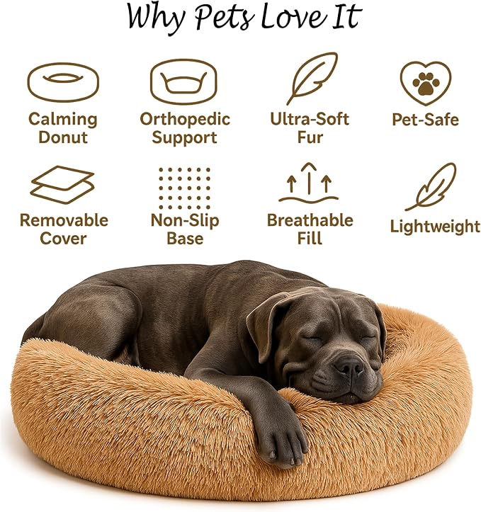 Calming Dog Bed - Image 4