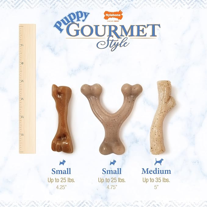 Nylabone Gourmet Style Femur Bone Strong Chew Toy - Image 8