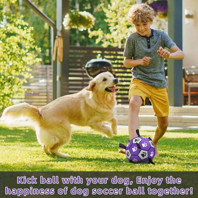 QDAN Soccer Ball for Dogs - Image 2