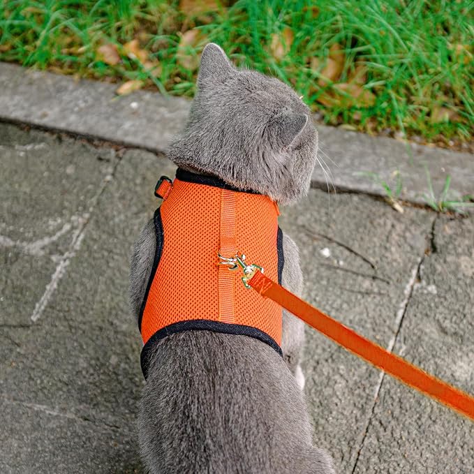 PUPTECK Soft Mesh Cat Vest Harness and Leash Set Puppy Padded Pet Harnesses - Image 6