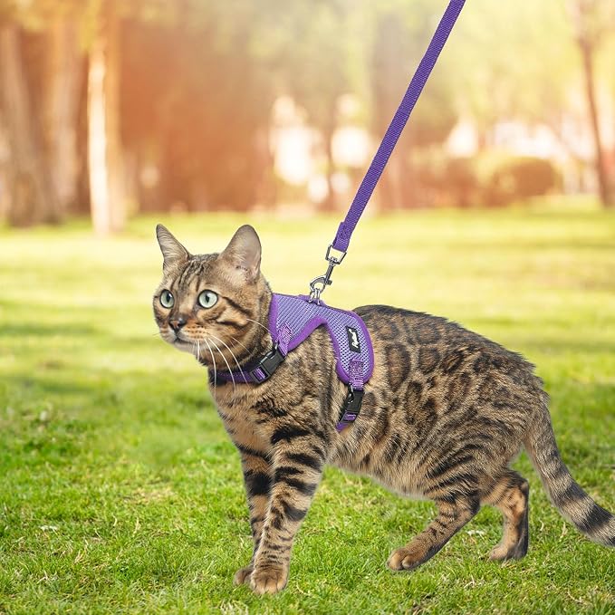 PUPTECK Cat Harness and Leash Set Escape Proof, Reflective Adjustable Soft Mesh - Image 6