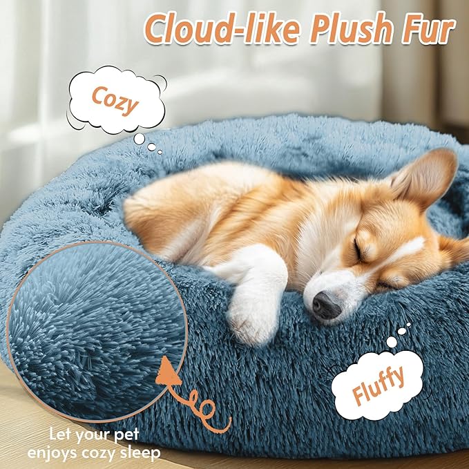 JOLLYVOGUE Calming Dog Bed for Small Dogs - Image 2