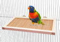 11.8×7.1 Inches Bird Perch Stand Platform, Natural Wooden and Bamboo Small by Neeenn
