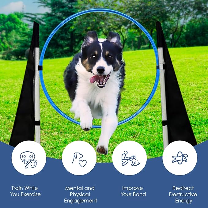 Houseables Dog Agility Course Backyard Set, Dog Agility Equipment, Obstacle - Image 3