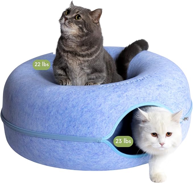 Cattasaurus Peekaboo Cat Cave Donut by Cattasaurus