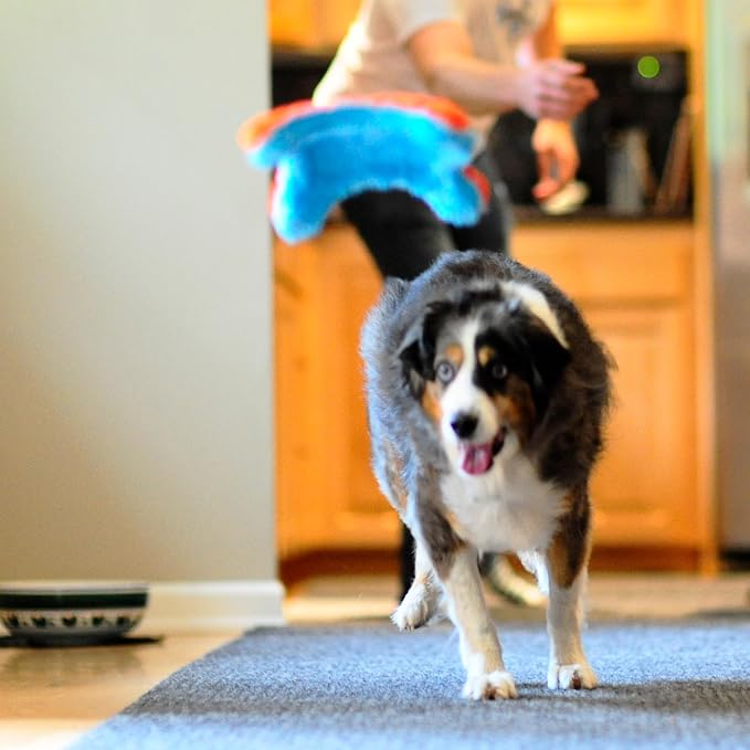 Chuckit! Indoor Fetch Squirrel Toy - Image 5