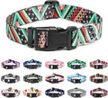 Mercano Adjustable Dog Collar by Unknown