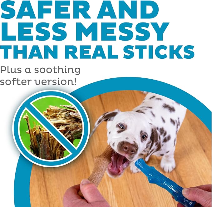 Outward Hound Dogwood Puppy Durable Dog Chew Toys, Real Wood & Teething Bone - Image 3
