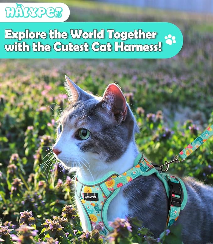 Halypet Cat Harness and Leash Set Cute Escape Proof Vest Harness - Image 2