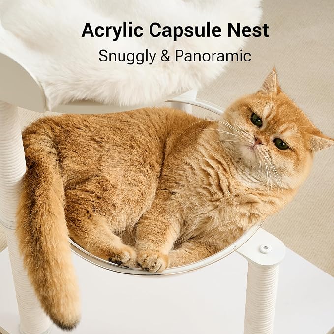Modern Cat Tree Tower for Indoor Cats up to 12lbs, Wood Cat Bed - Image 3
