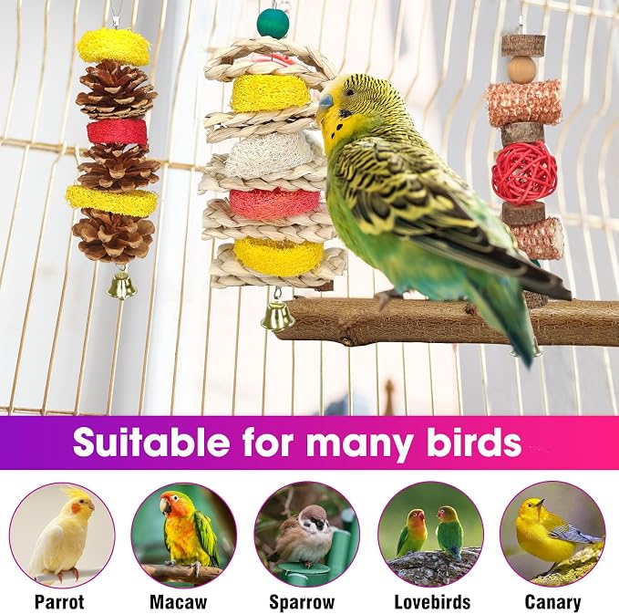 JOREWOOD 7 Pcs Natural Wood Bird Toy & Perch - Image 6