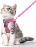 Cat Harness and Leash Set for Walking Escape Proof, Soft Adjustable Kitten by NCMAMA