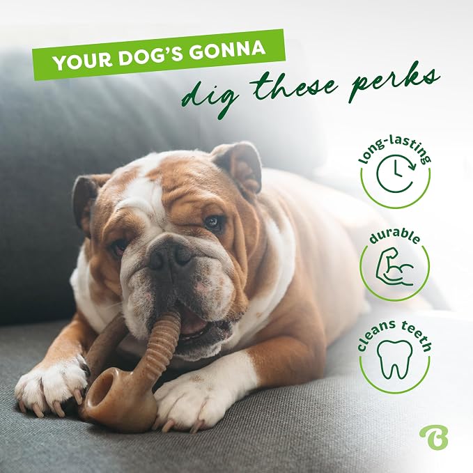 Benebone Ring Durable Dog Chew Toy - Image 3