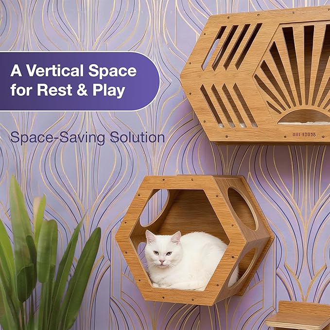 Modern Hexagonal Cat Wall Shelf System, 6-Piece Wood Wall Mounted Cat Furniture - Image 3