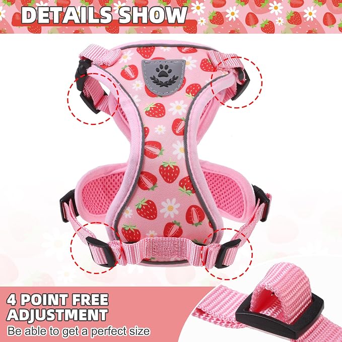 KOOLTAIL Cat Harness and Leash Set, Escape Proof - Image 2