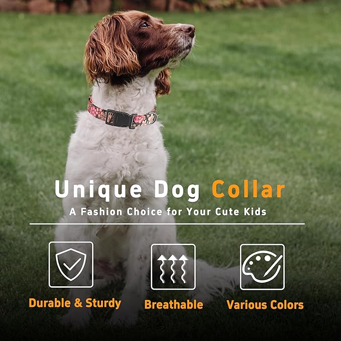 Dog Collar for Boys & Girls, Puppy Collar for Small to Large Dogs, Adjustable - Image 5