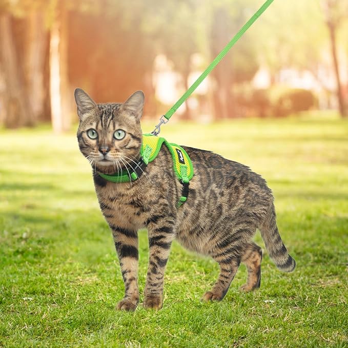 PUPTECK Cat Harness and Leash Set Escape Proof, Reflective Adjustable Soft Mesh - Image 6