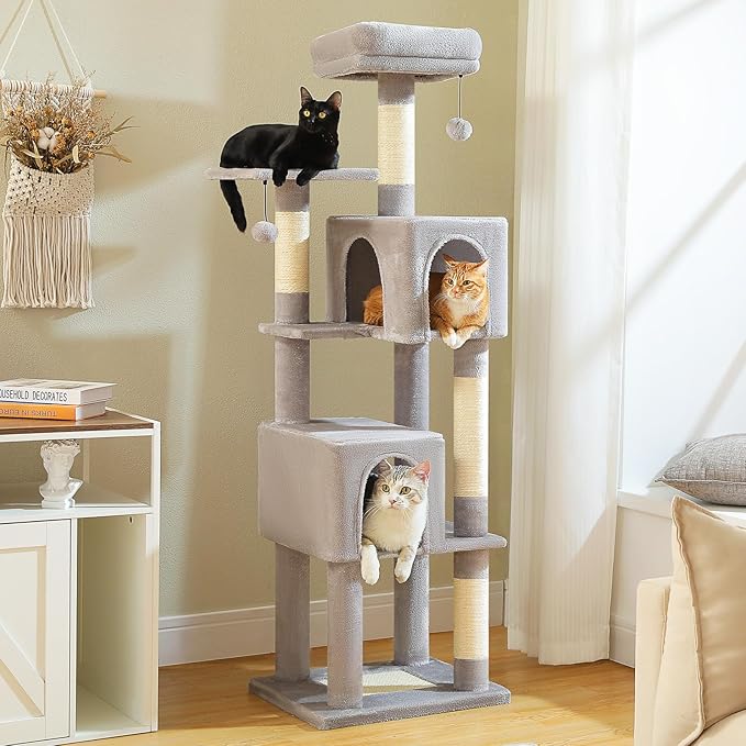 Cat Tree for Indoor Cats, 62-Inch Multi-Level Cat Tower by MUTTROS