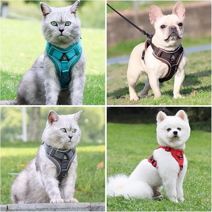 Escape Proof Cat Harness and Leash Set - Image 6