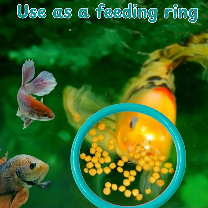 2 pcs Betta Ring Enrichment Toys - Image 7