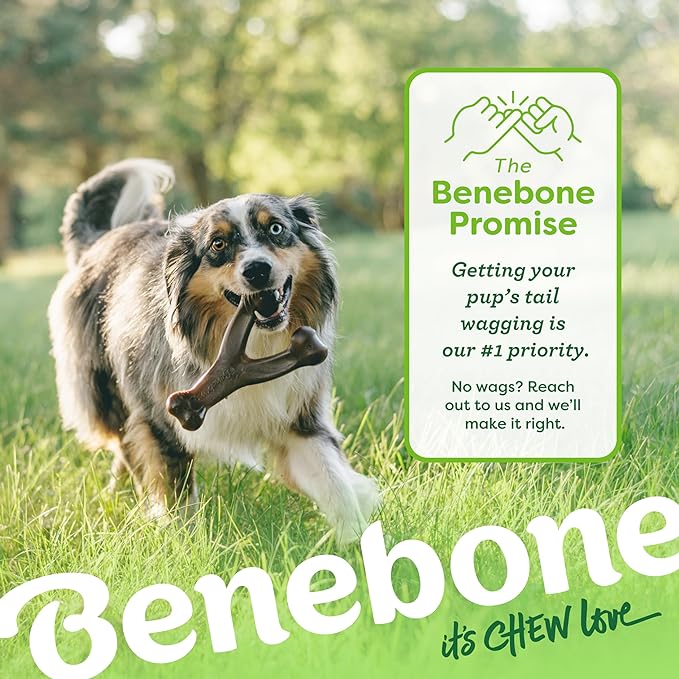 Small 3-Pack, Benebone Wishbone Durable Dog Chew Toy - Image 6
