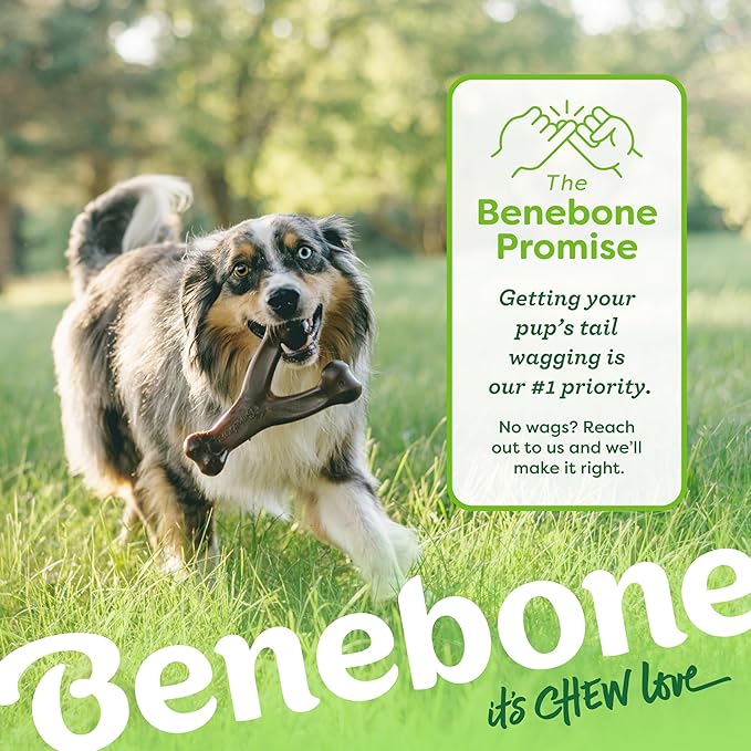 Large 3-Pack, Benebone Wishbone Durable Dog Chew Toy - Image 6