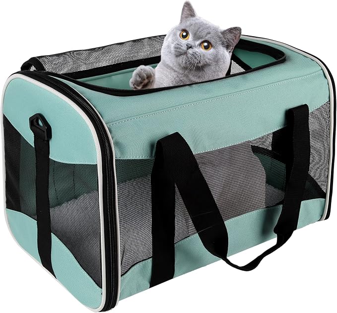 Cat Carrying Case by home