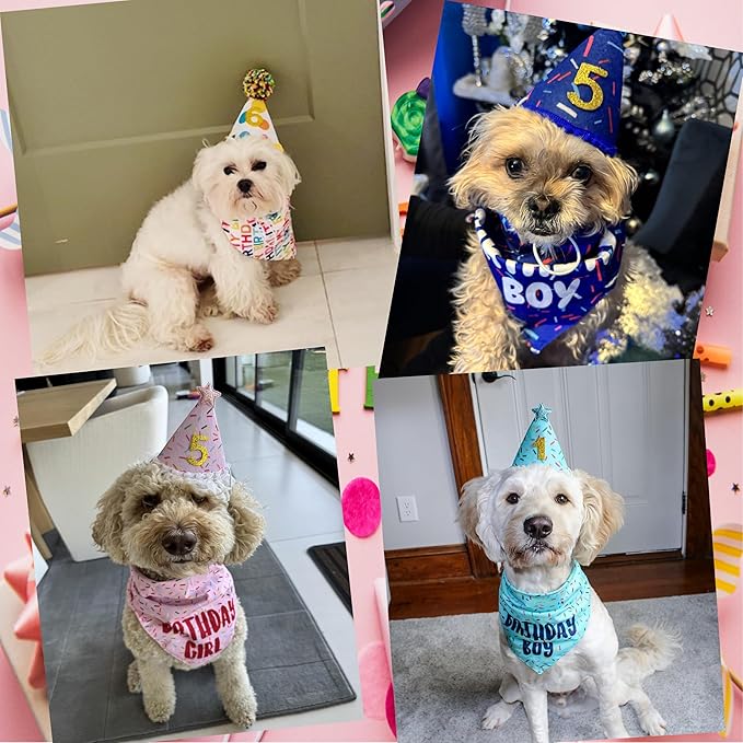 Dog Birthday Bandana Set, Light Pink Birthday Girl Decorations, HBD Party - Image 6