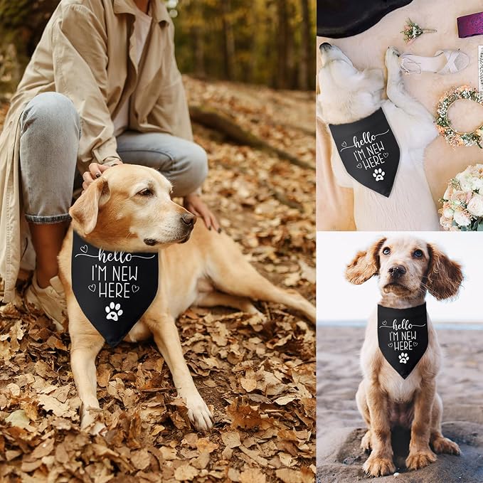 Hello I'm New Here Dog Bandana New Puppy Announcement Gift - Image 5