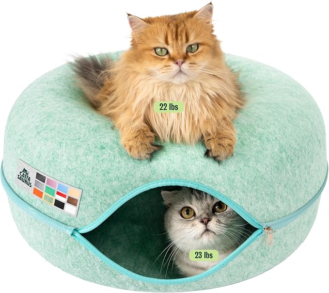 Cattasaurus Peekaboo Cat Cave Donut by Cattasaurus