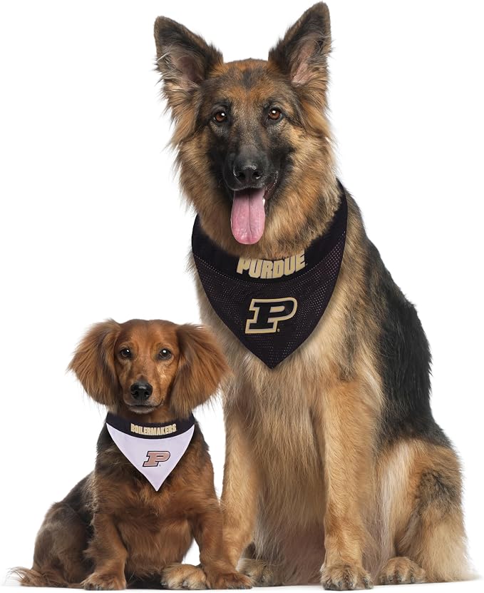 Pets First Collegiate Pet Accessories, Reversible Bandana, Purdue Boilermakers - Image 4