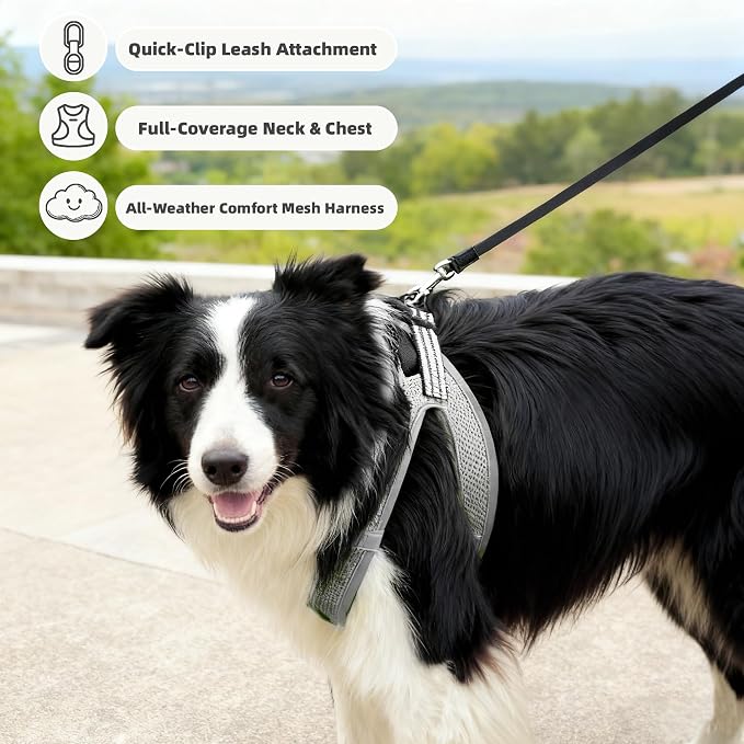 ROYPET Step-in Air Dog Harness, All Weather Mesh Step in Vest Harness - Image 3