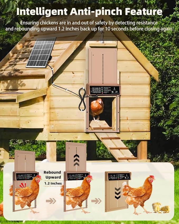 2025 Upgrade 7W Solar Power Chicken Door, Pet Deluxe Automatic Chicken Coop Door - Image 3