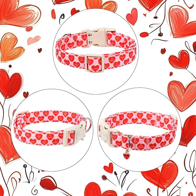 Valentines Dog Collar for Small Dogs - Image 6