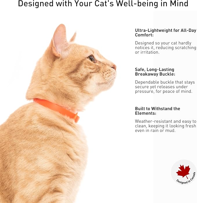 5 Pack Breakaway Cat Collar - Image 4