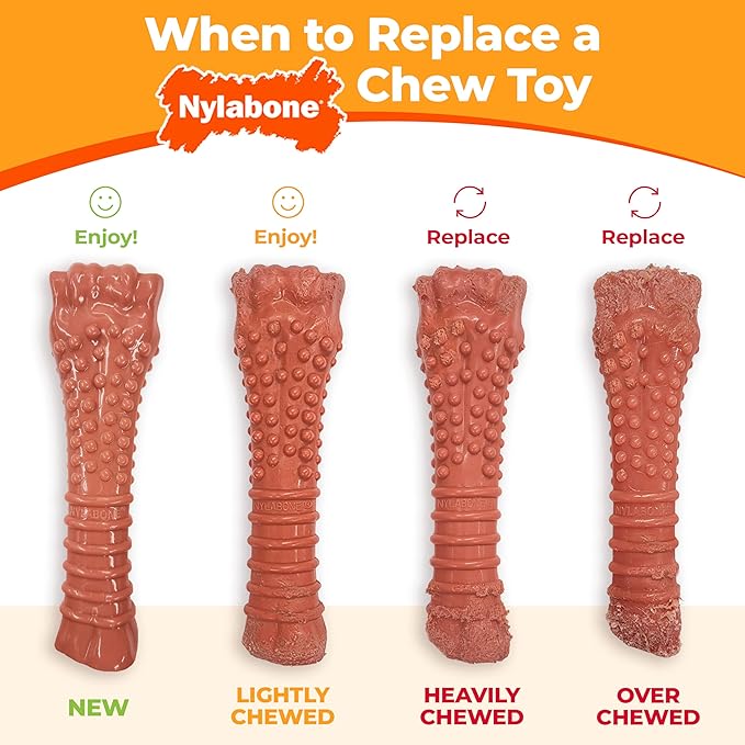 Nylabone Power Chew Antler Alternative Nylon Chew Toy - Image 10