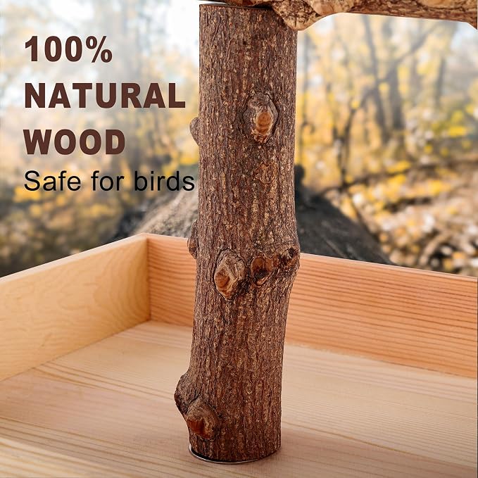 Bird Perch, Portable Tabletop Bird Stand, Training Play T Shaped Stand - Image 6