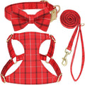 Beirui Cute Extra Small Dog Harness Collar and Leash Set by Beirui